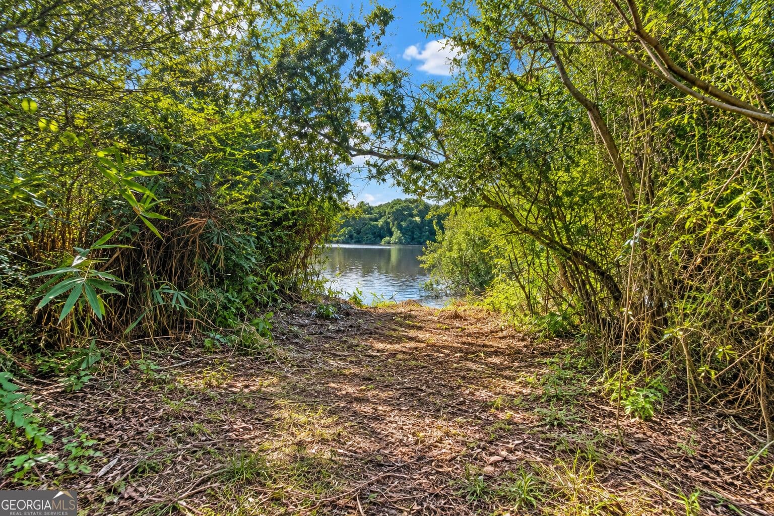 agriculture for sale at 43.5 ACRES Cemetery Road, Rochelle, GA 31079 — photo 7