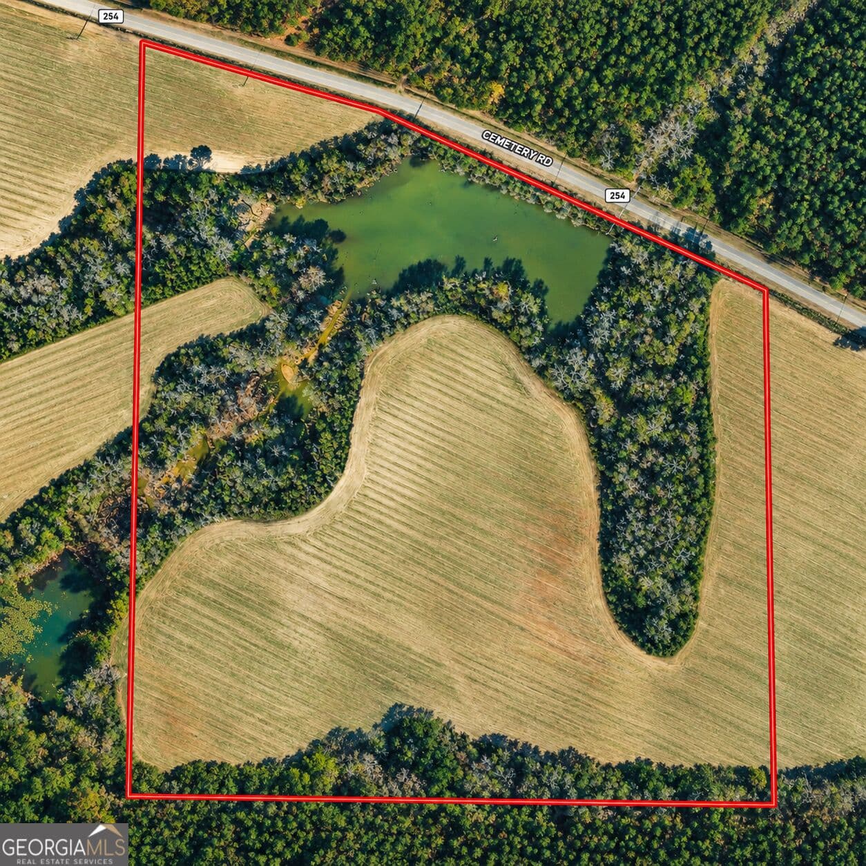 agriculture for sale at 43.5 ACRES Cemetery Road, Rochelle, GA 31079 — photo 3