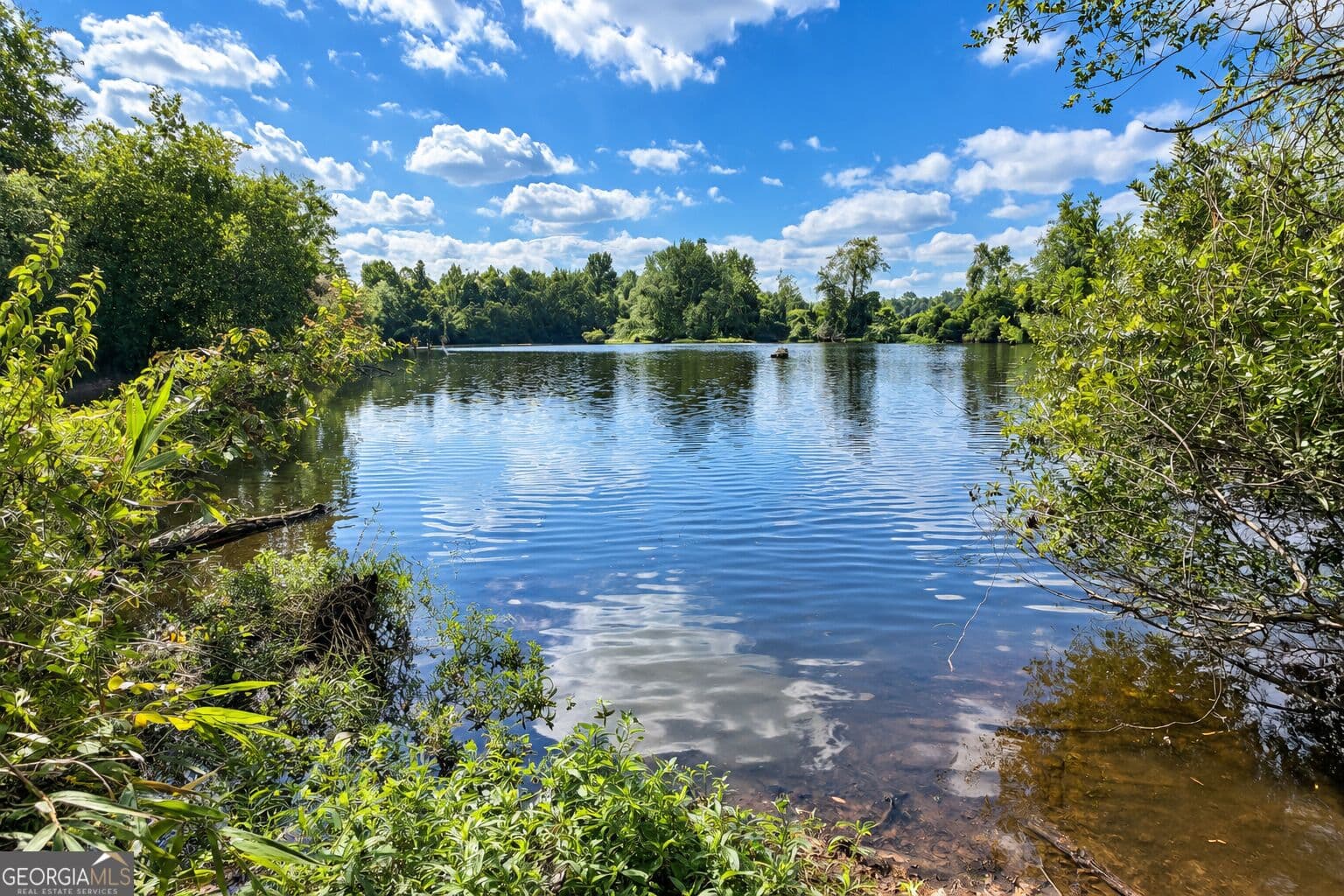agriculture for sale at 43.5 ACRES Cemetery Road, Rochelle, GA 31079 — photo 5