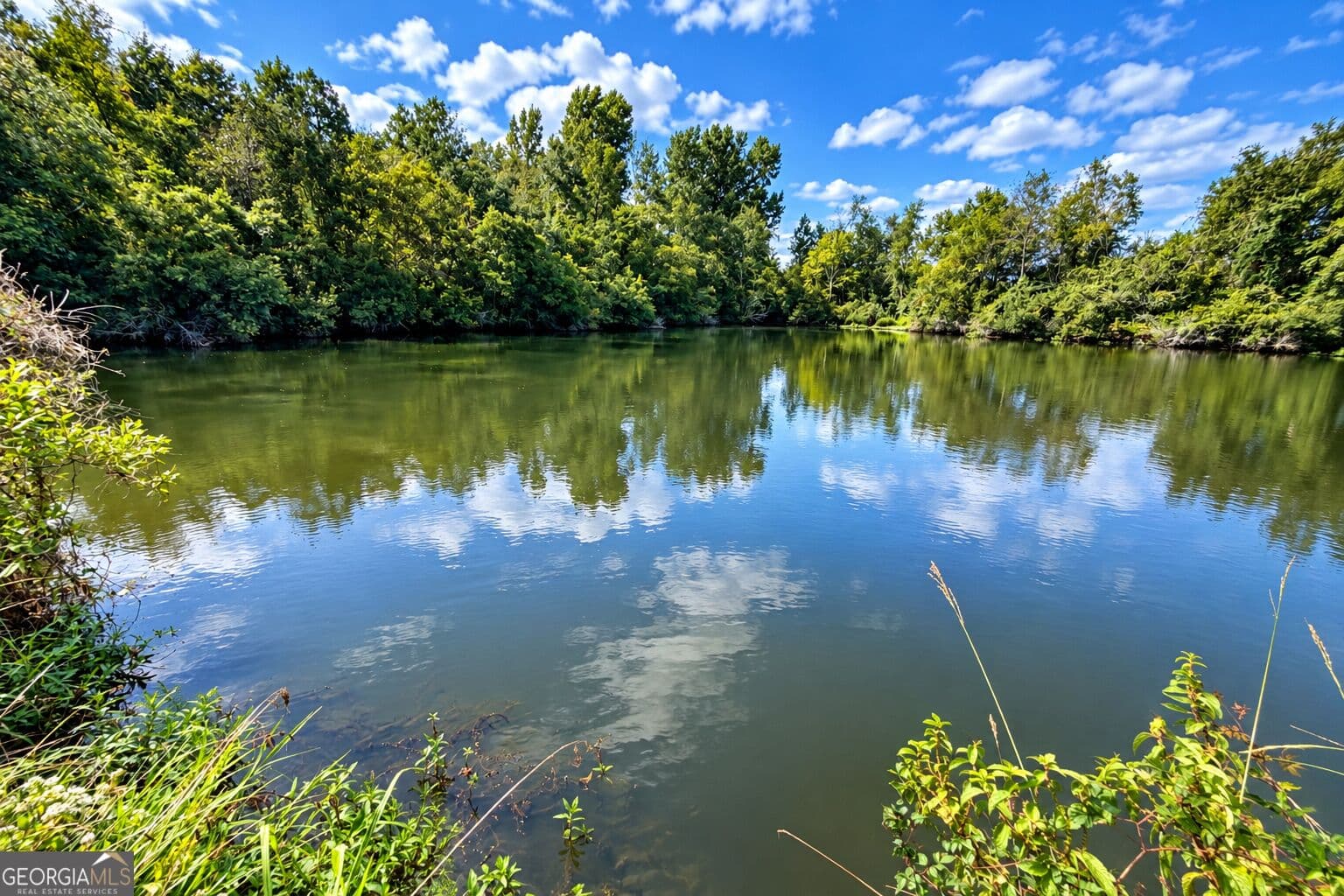agriculture for sale at 43.5 ACRES Cemetery Road, Rochelle, GA 31079 — photo 4