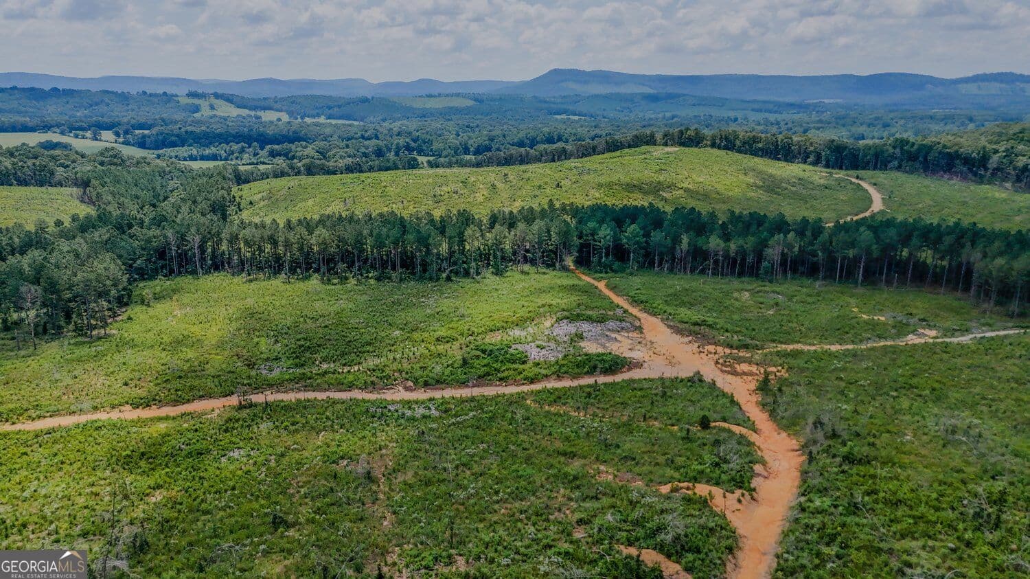 unimproved land for sale at 0 Back Valley Road TRACT 8, Lyerly, GA 30730 — photo 6