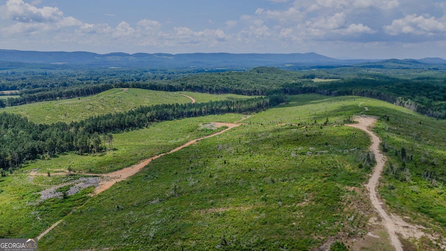 unimproved land for sale at 0 Back Valley Road TRACT 8, Lyerly, GA 30730 — photo 1 of 17
