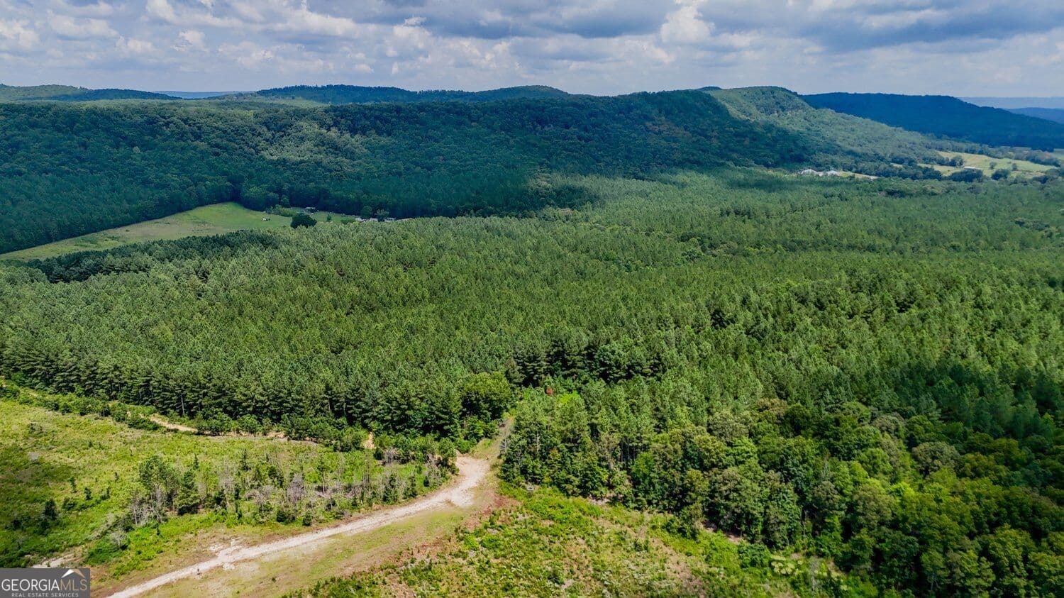 unimproved land for sale at 0 Back Valley Road TRACT 8, Lyerly, GA 30730 — photo 5