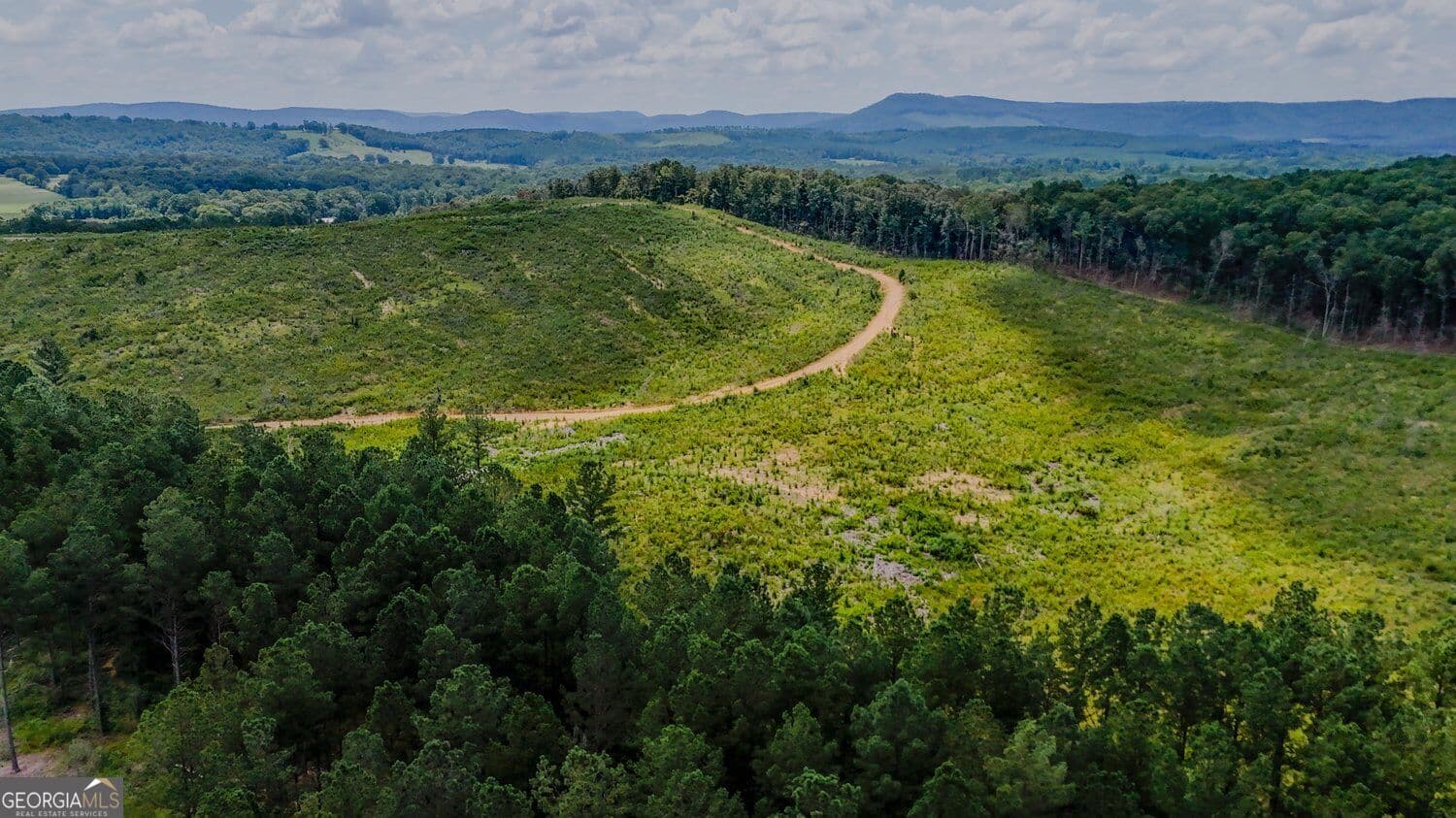 unimproved land for sale at 0 Back Valley Road TRACT 8, Lyerly, GA 30730 — photo 10
