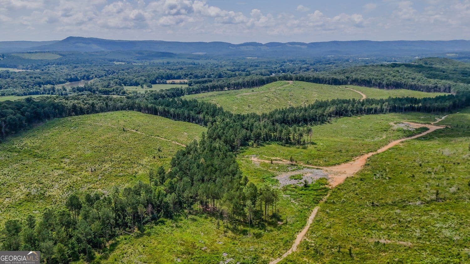 unimproved land for sale at 0 Back Valley Road TRACT 8, Lyerly, GA 30730 — photo 4