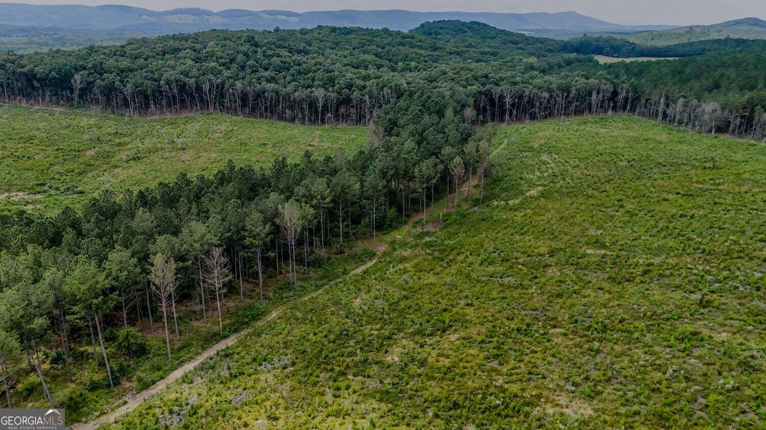 unimproved land for sale at 0 Back Valley Road TRACT 8, Lyerly, GA 30730 — photo 8