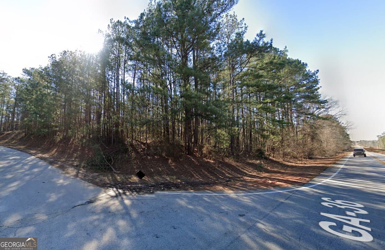 unimproved land for sale at 0 Highway 36, Covington, GA 30014 — photo 1 of 3