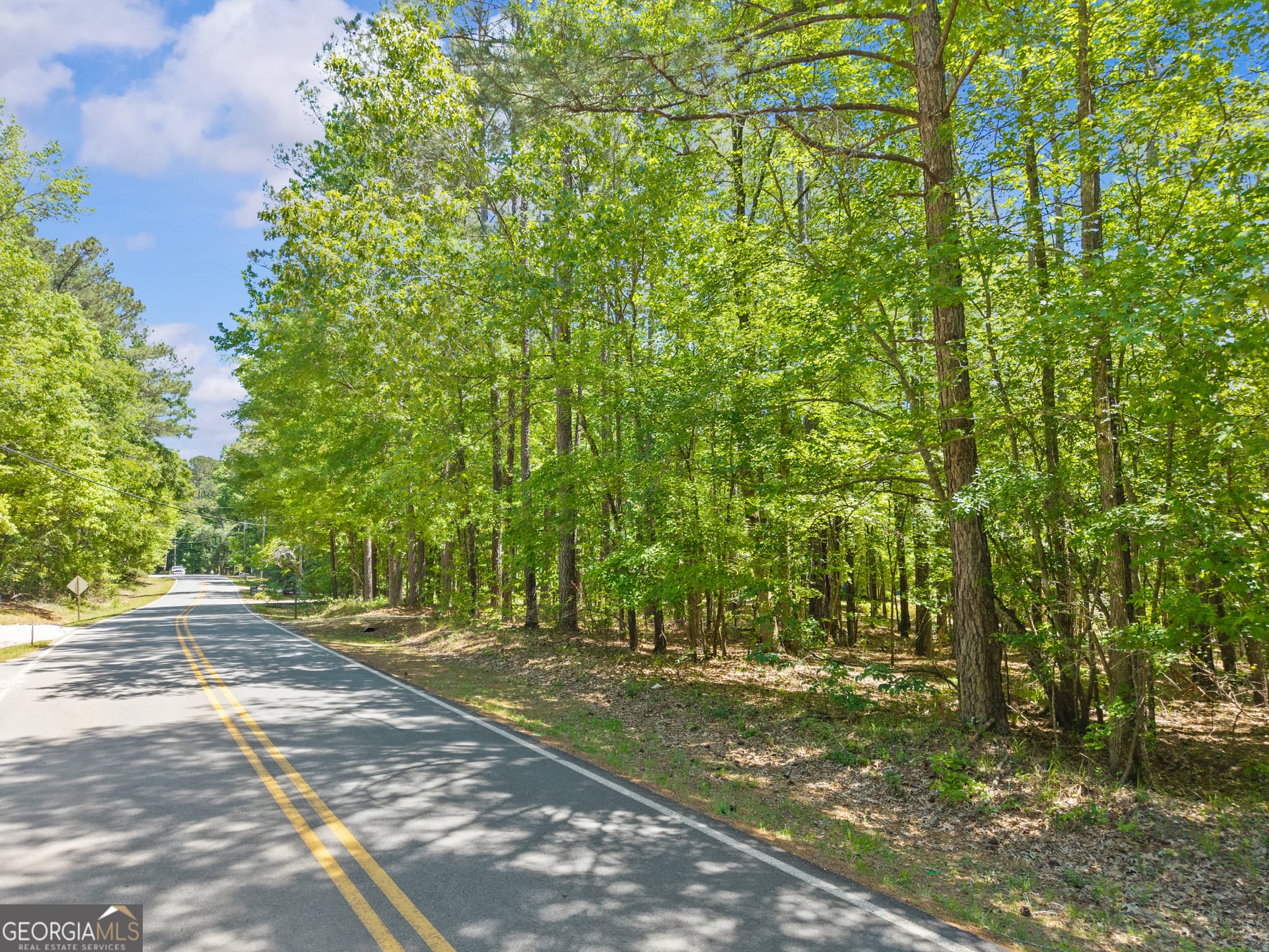 unimproved land for sale at LOT 19 Apalachee Woods Trail, Buckhead, GA 30625 — photo 1 of 21