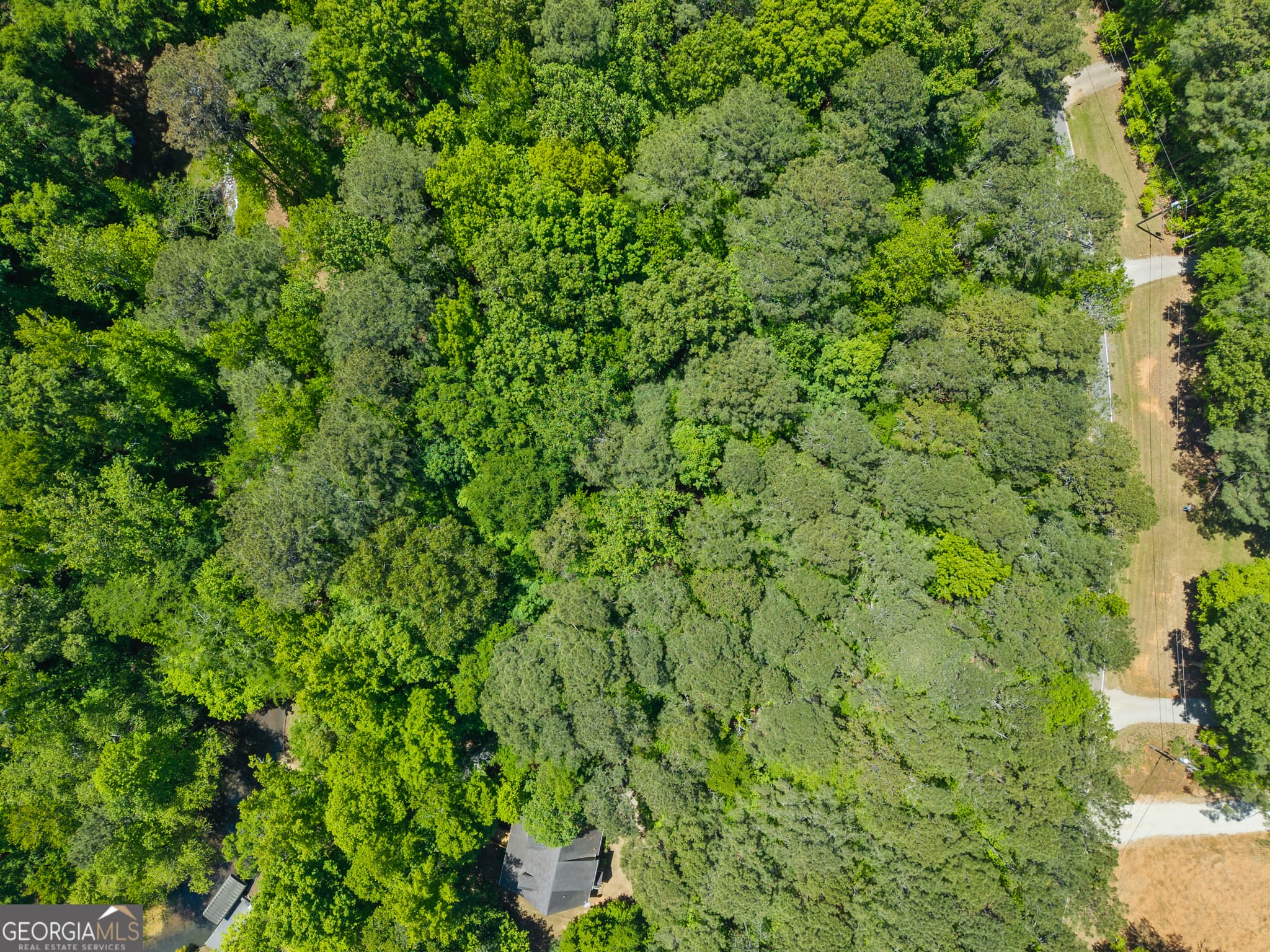 unimproved land for sale at LOT 19 Apalachee Woods Trail, Buckhead, GA 30625 — photo 5