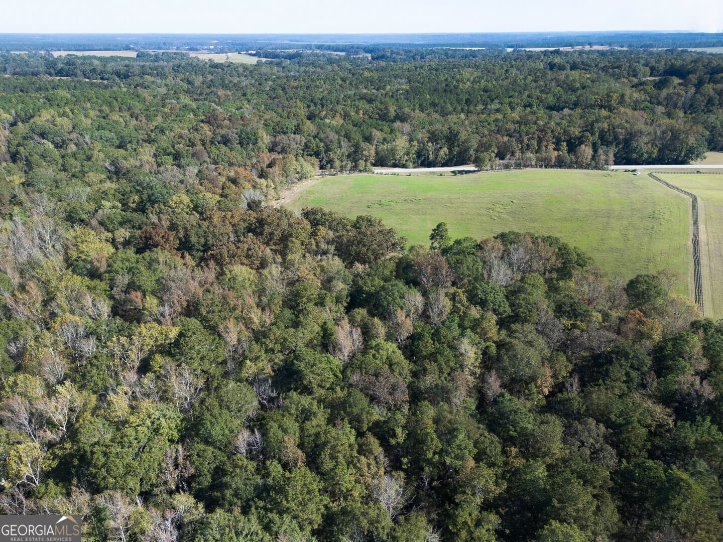 agriculture for sale at 0 Ga Highway 142 B-1 (S-1), Shady Dale, GA 31085 — photo 2