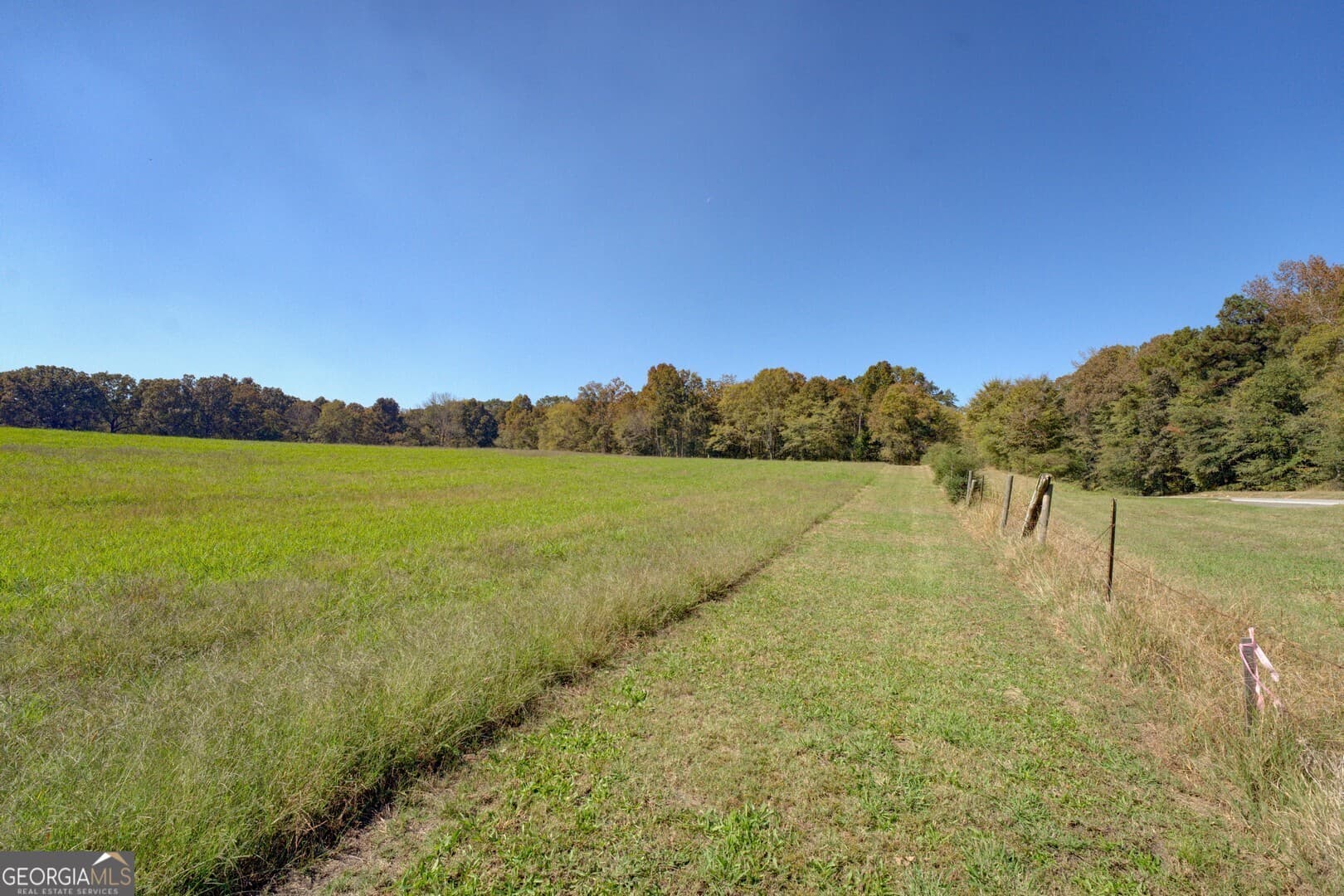 agriculture for sale at 0 Ga Highway 142 B-1 (S-1), Shady Dale, GA 31085 — photo 6