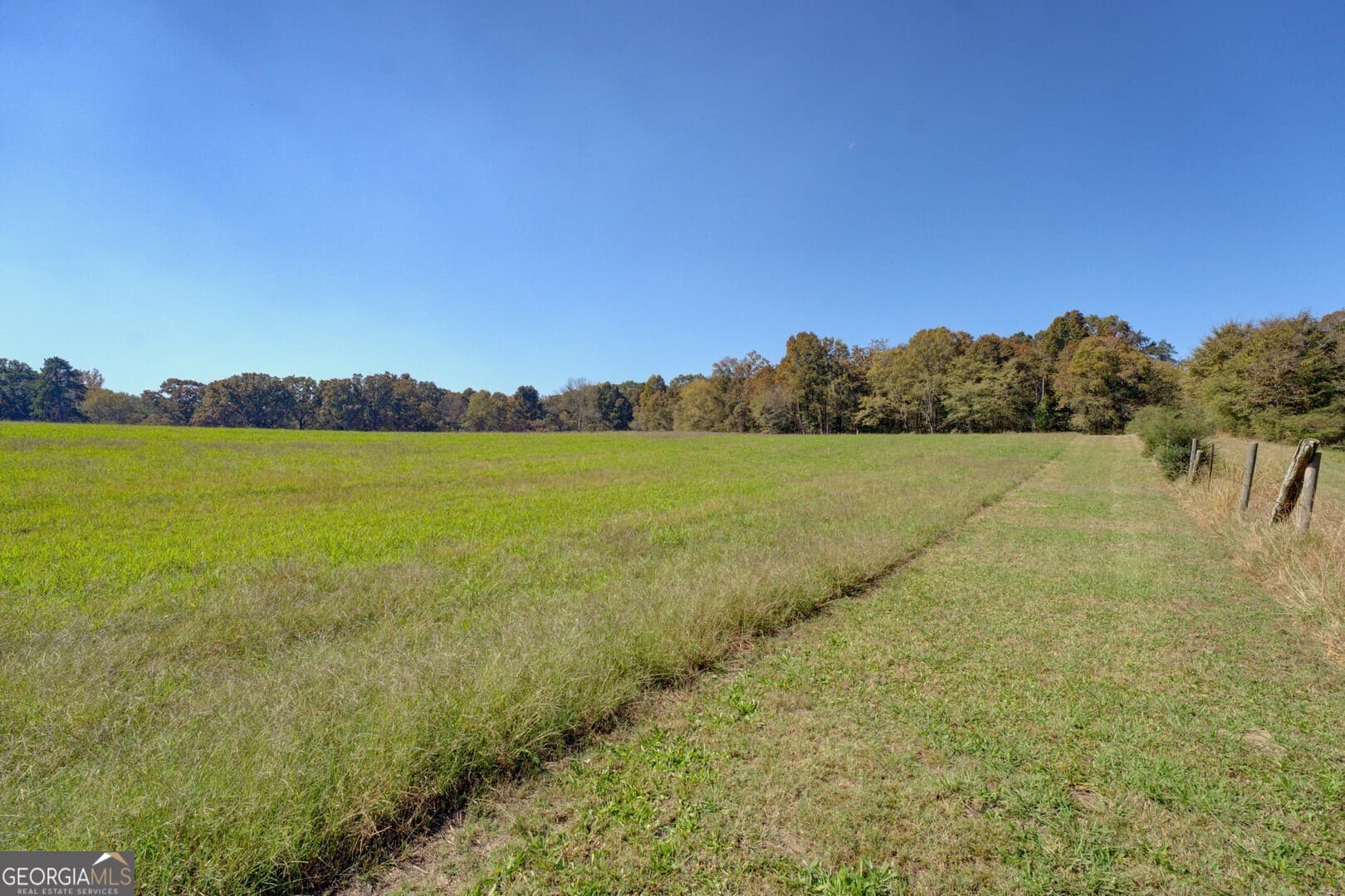 agriculture for sale at 0 Ga Highway 142 B-1 (S-1), Shady Dale, GA 31085 — photo 9