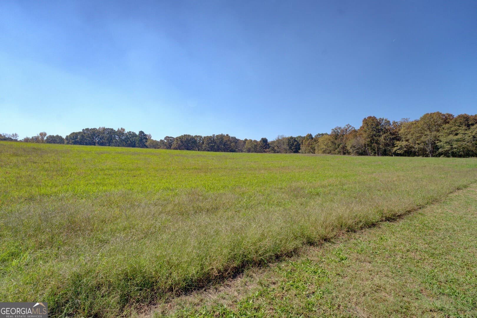 agriculture for sale at 0 Ga Highway 142 B-1 (S-1), Shady Dale, GA 31085 — photo 10