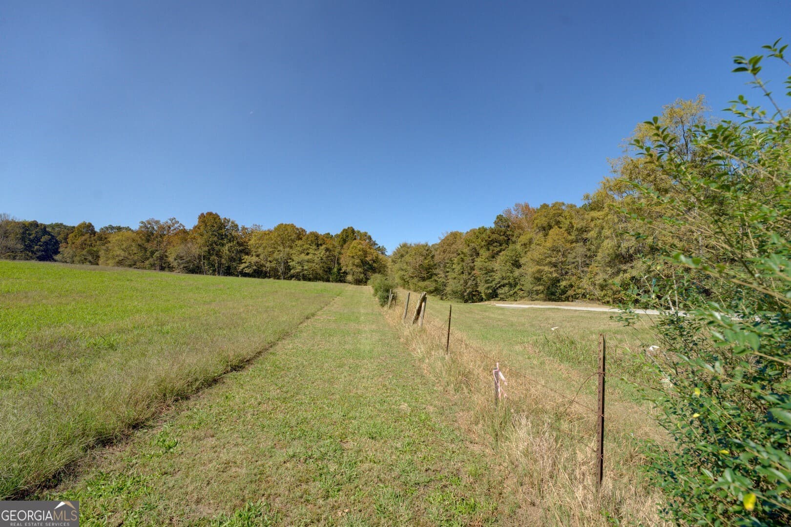 agriculture for sale at 0 Ga Highway 142 B-1 (S-1), Shady Dale, GA 31085 — photo 8