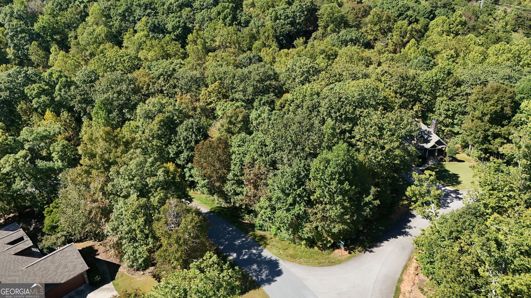 residential lot for sale at LOT 8 Long Mountain Trail, Cleveland, GA 30528 — photo 2