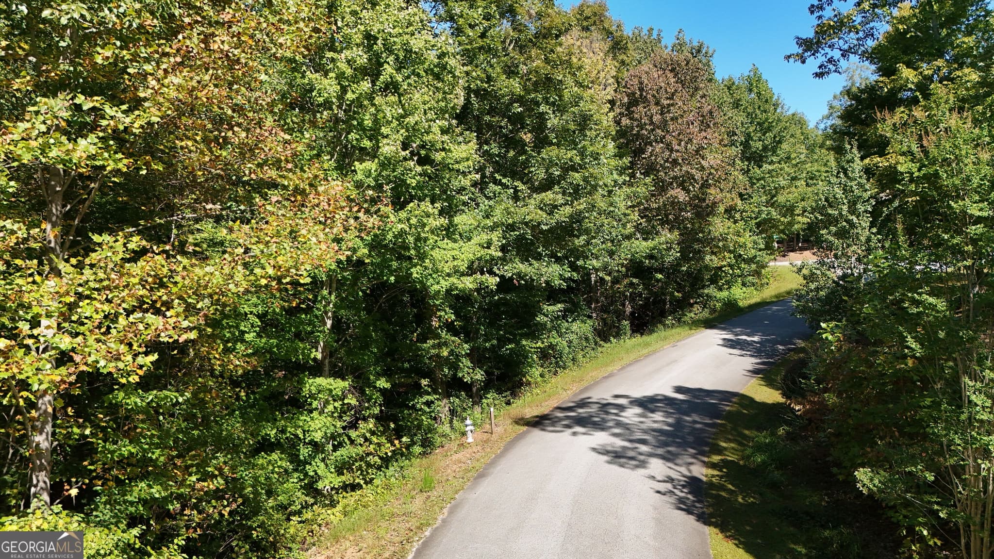 residential lot for sale at LOT 8 Long Mountain Trail, Cleveland, GA 30528 — photo 3