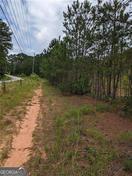 unimproved land for sale at 7900 Downs Road, Winston, GA 30187 — photo 3