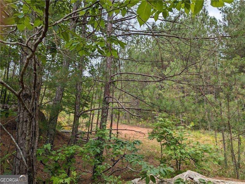 unimproved land for sale at 7900 Downs Road, Winston, GA 30187 — photo 1 of 4