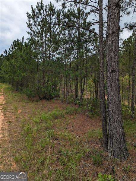 unimproved land for sale at 7900 Downs Road, Winston, GA 30187 — photo 4