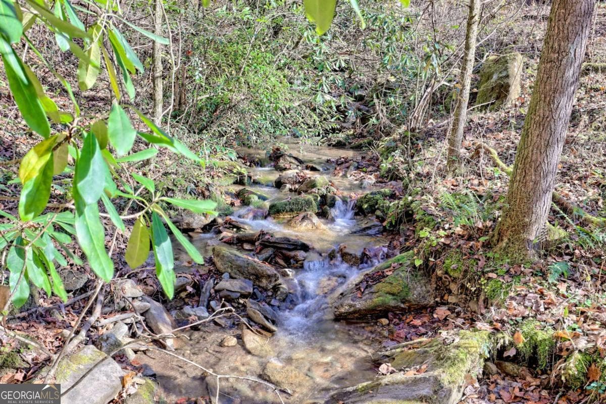 1 bedroom, 1 bathroom cabin,single family residence for sale at 1307 Clear Creek Road, Hayesville, NC 28904 — photo 2