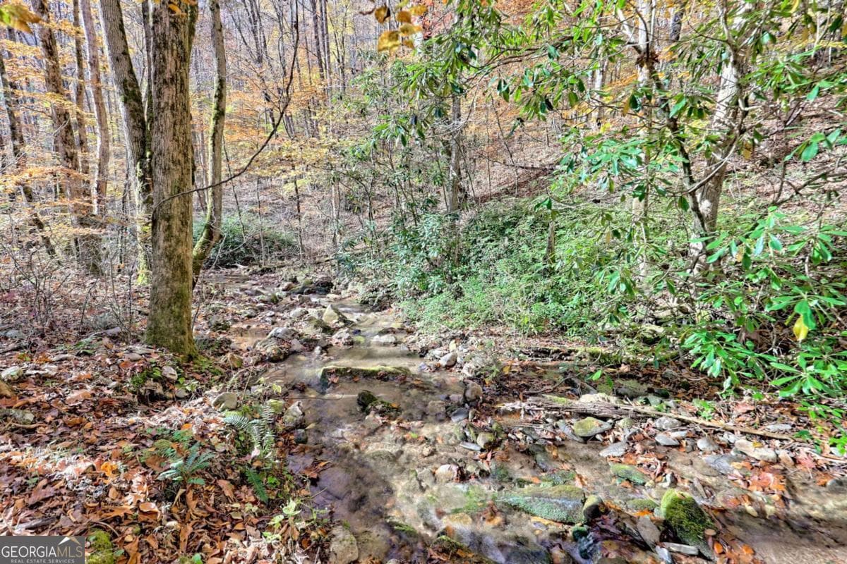 1 bedroom, 1 bathroom cabin,single family residence for sale at 1307 Clear Creek Road, Hayesville, NC 28904 — photo 6
