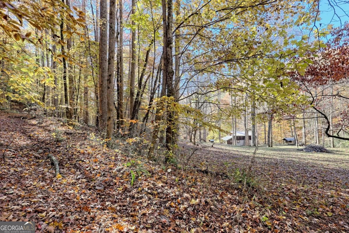 1 bedroom, 1 bathroom cabin,single family residence for sale at 1307 Clear Creek Road, Hayesville, NC 28904 — photo 7
