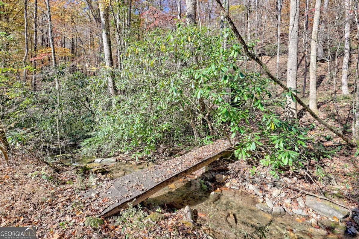 1 bedroom, 1 bathroom cabin,single family residence for sale at 1307 Clear Creek Road, Hayesville, NC 28904 — photo 5