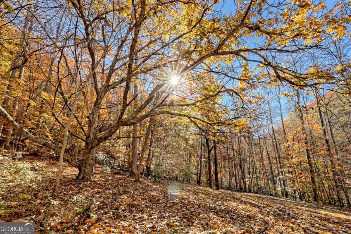 1 bedroom, 1 bathroom cabin,single family residence for sale at 1307 Clear Creek Road, Hayesville, NC 28904 — photo 4