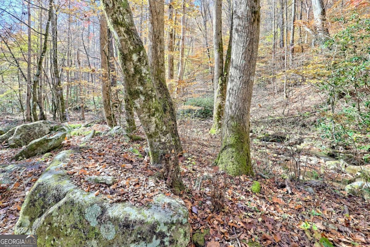 1 bedroom, 1 bathroom cabin,single family residence for sale at 1307 Clear Creek Road, Hayesville, NC 28904 — photo 8