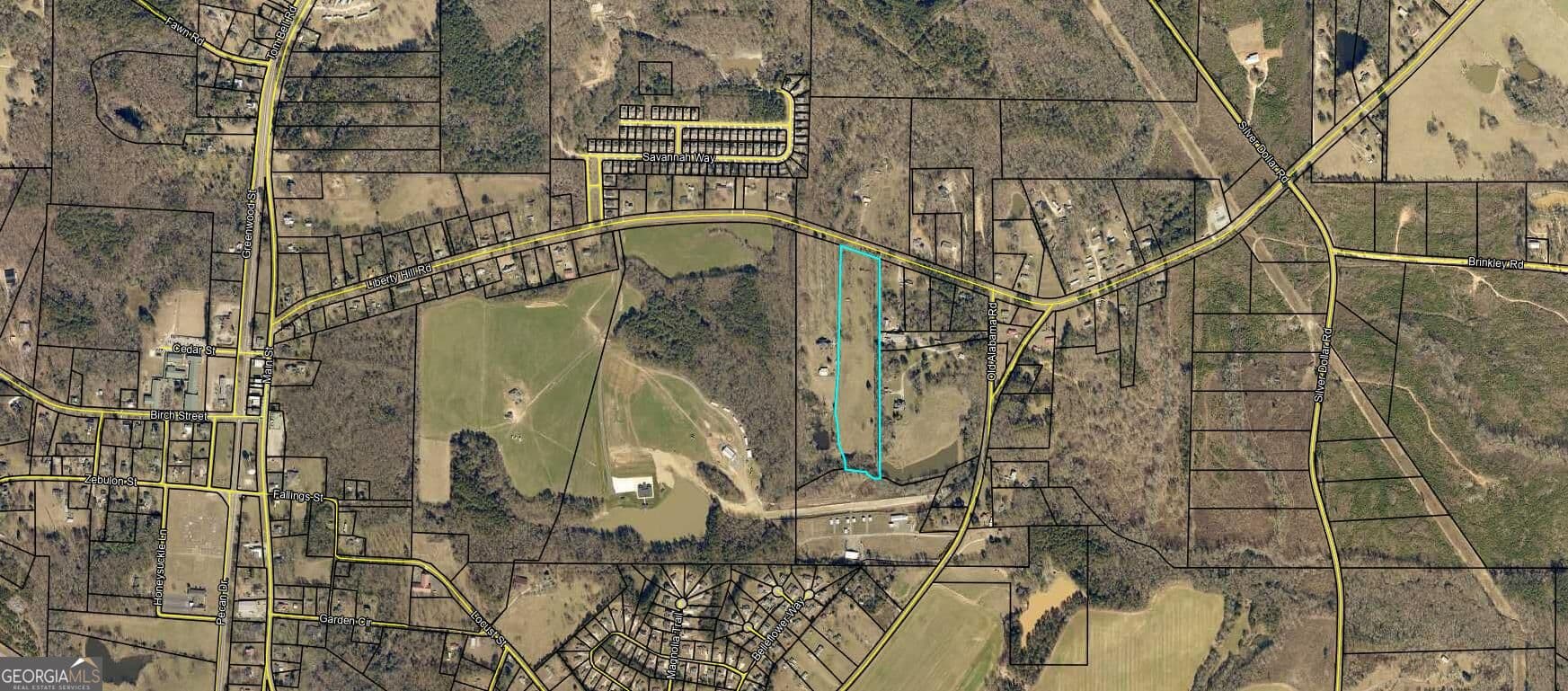 unimproved land for sale at 0 Liberty Hill Road, Milner, GA 30257 — photo 1 of 1