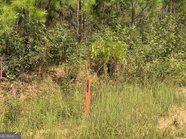agriculture for sale at 0 Cook Road TRACT #8, Monticello, GA 31064 — photo 2