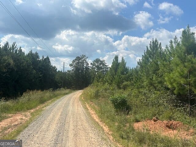 agriculture for sale at 0 Cook Road TRACT #8, Monticello, GA 31064 — photo 3