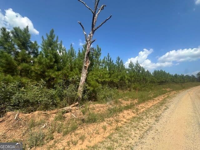 agriculture for sale at 0 Cook Road TRACT #8, Monticello, GA 31064 — photo 1 of 14