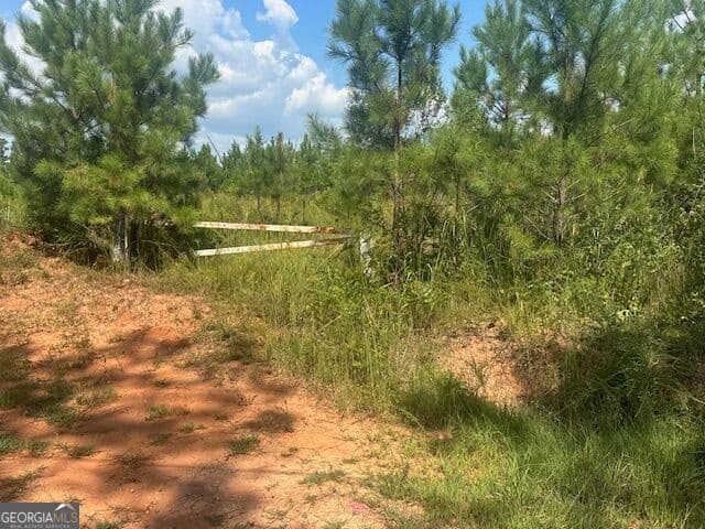 agriculture for sale at 0 Cook Road TRACT #8, Monticello, GA 31064 — photo 5