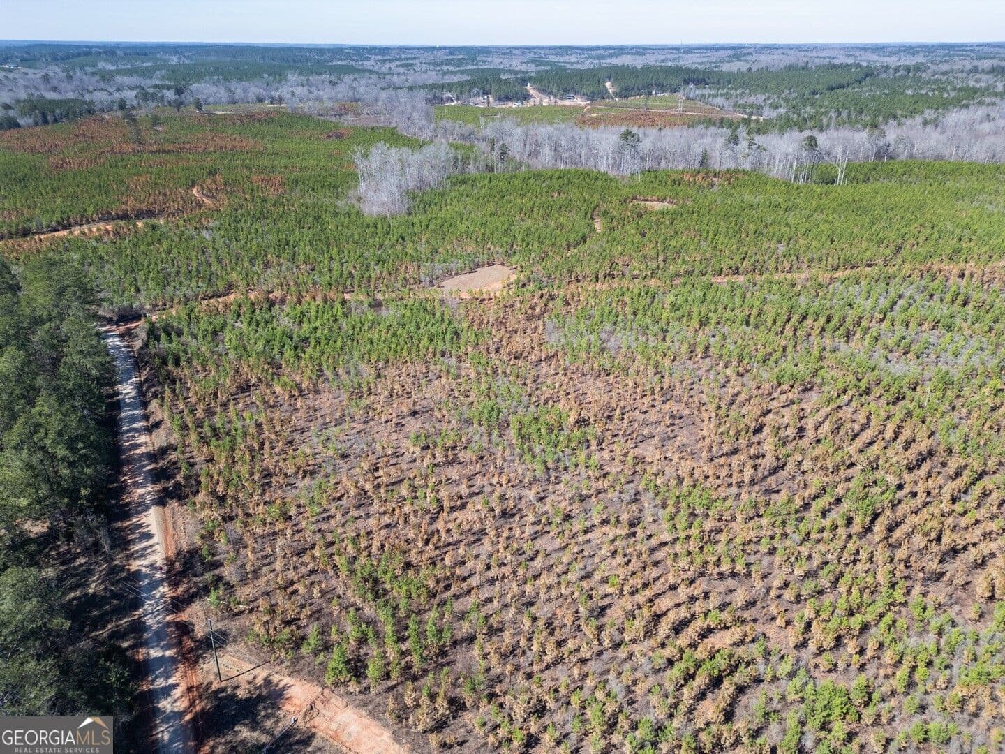 agriculture for sale at 0 Cook Road TRACT #8, Monticello, GA 31064 — photo 10
