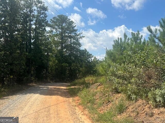 agriculture for sale at 0 Cook Road TRACT #8, Monticello, GA 31064 — photo 4