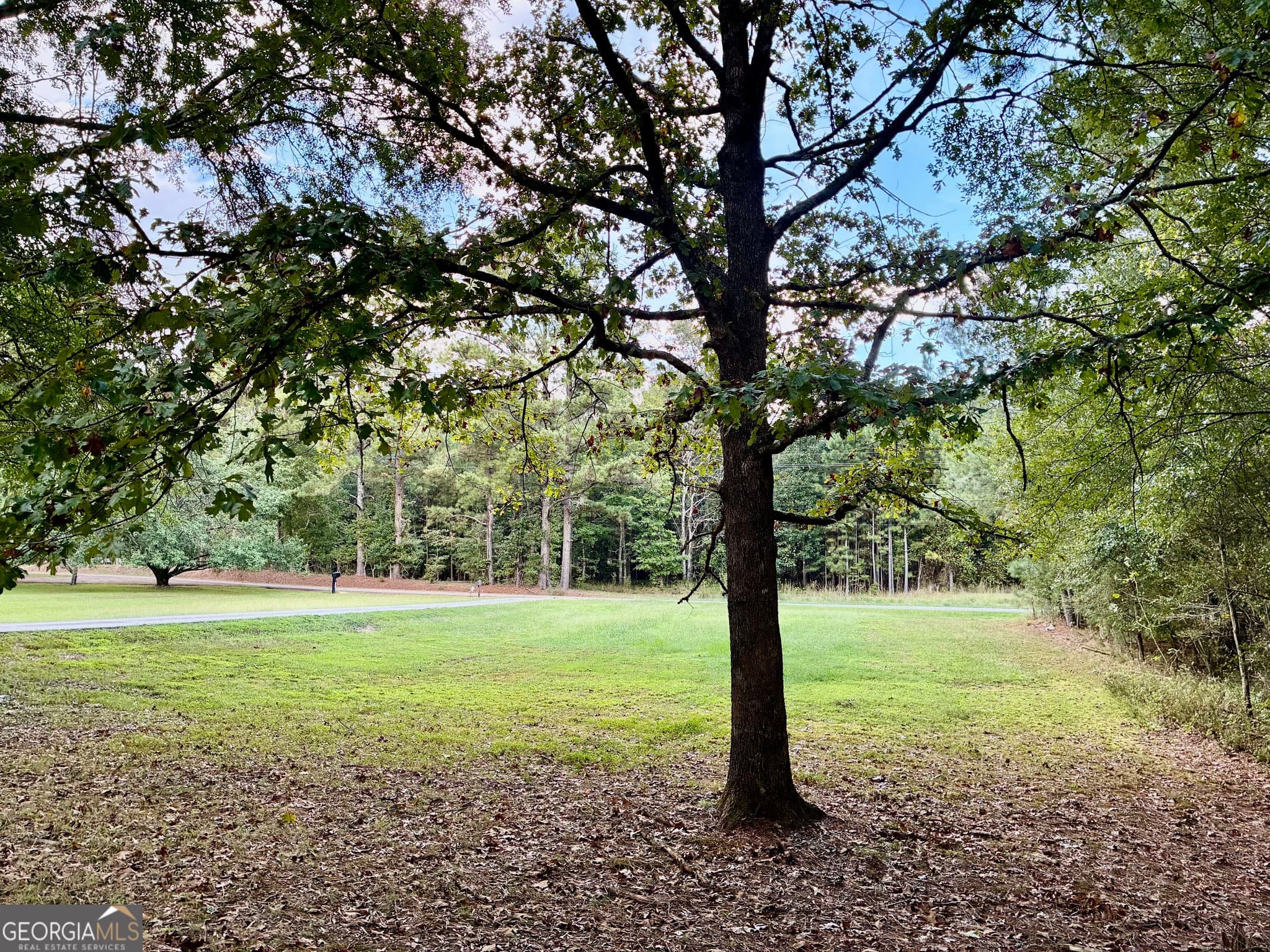 5 bedroom, 3 bathroom, 1,708 sq ft single family residence for sale at 145 Kellett Road, Rome, GA 30161 — photo 6