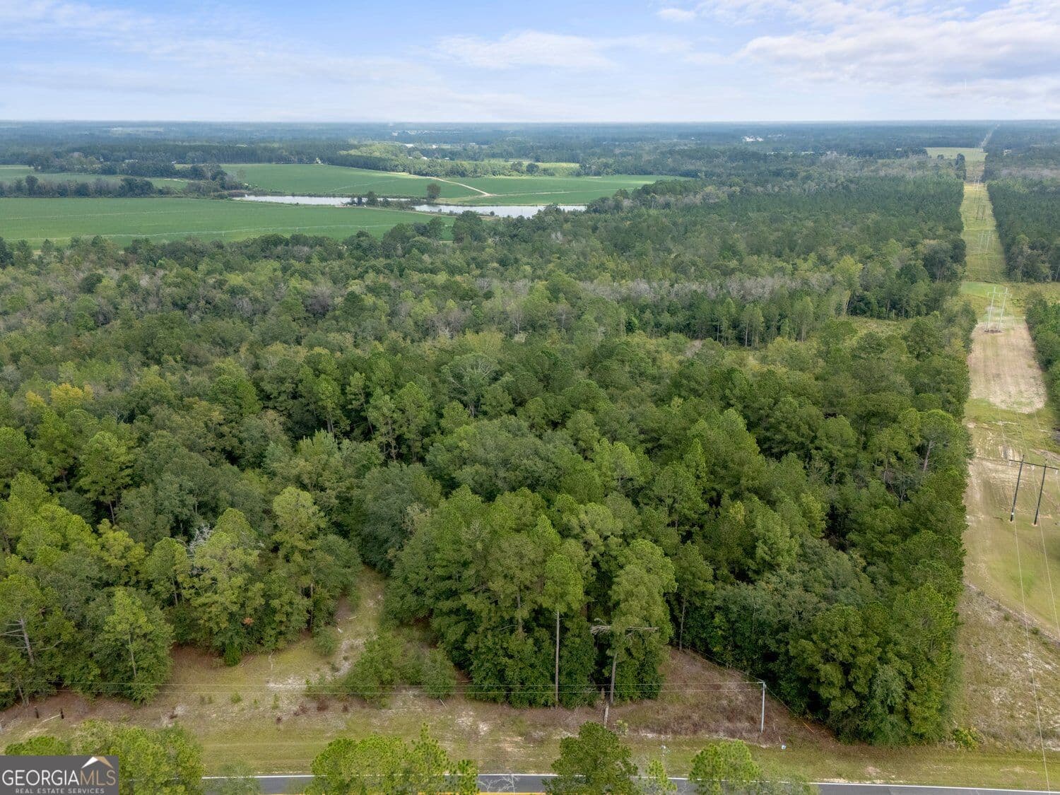 agriculture under contract at 1794 Carters Bridge Road, Claxton, GA 30417 — photo 7