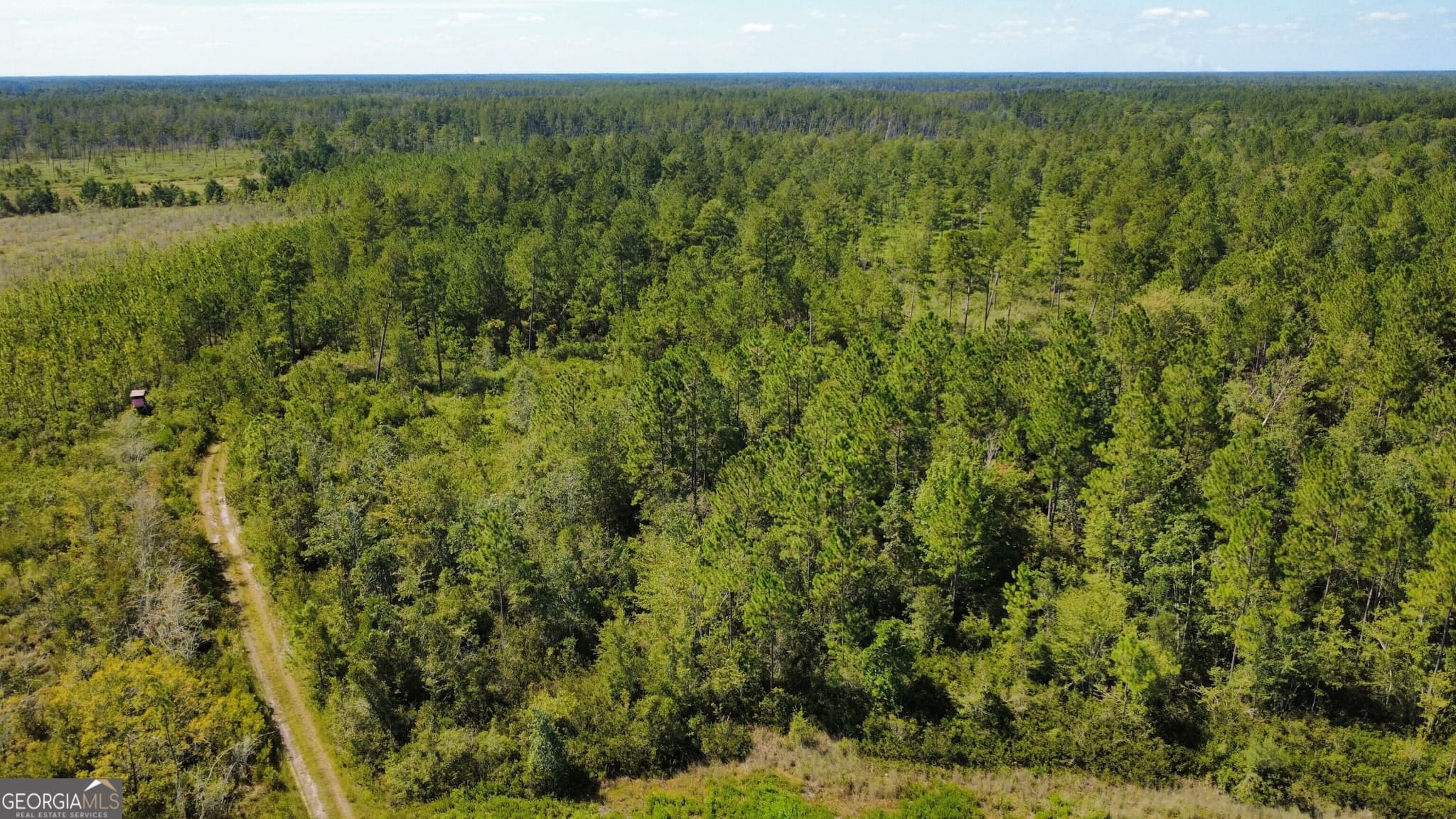 agriculture for sale at 0 Chickadee Road, Millwood, GA 31552 — photo 6