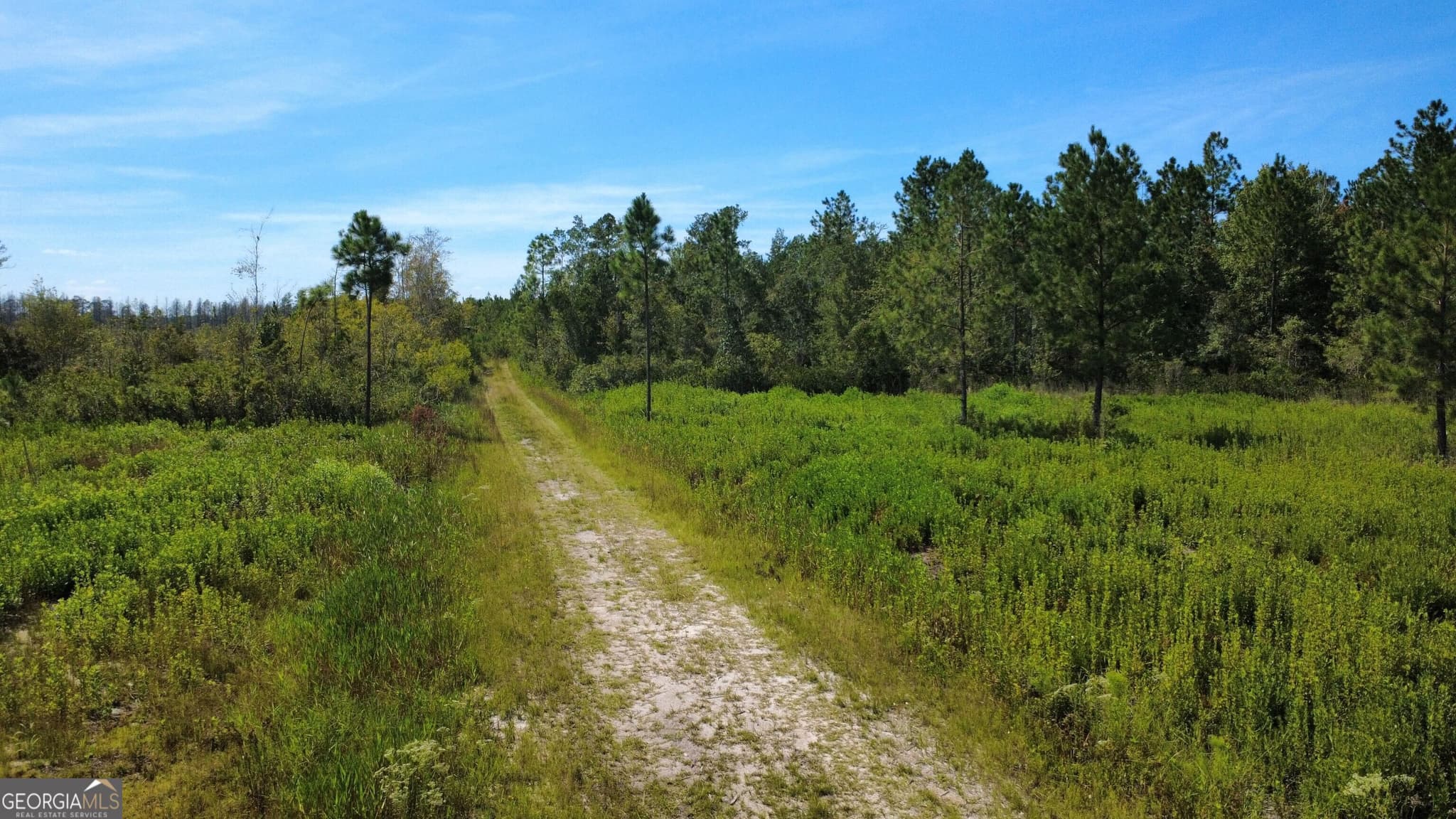 agriculture for sale at 0 Chickadee Road, Millwood, GA 31552 — photo 7