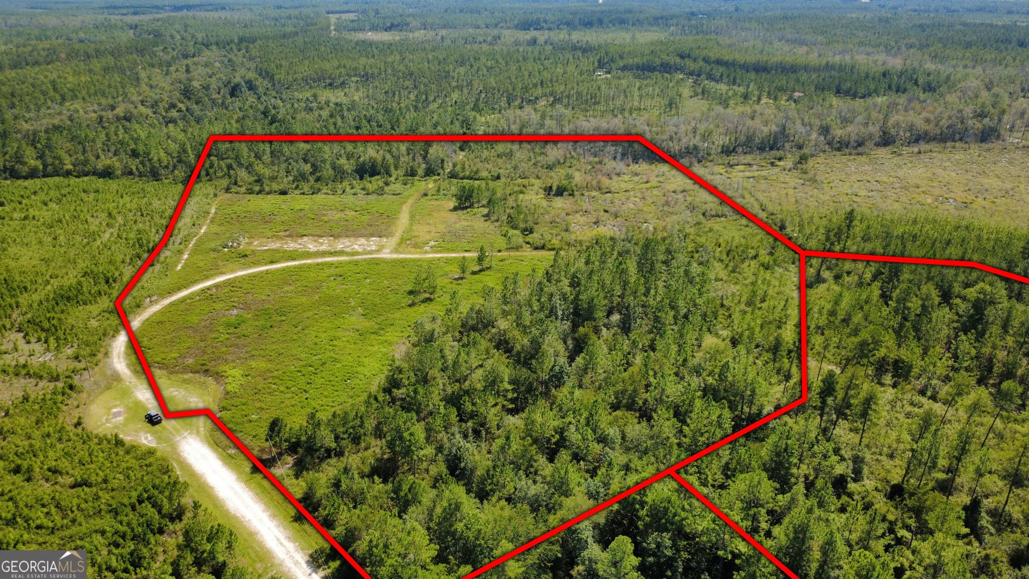 agriculture for sale at 0 Chickadee Road, Millwood, GA 31552 — photo 3