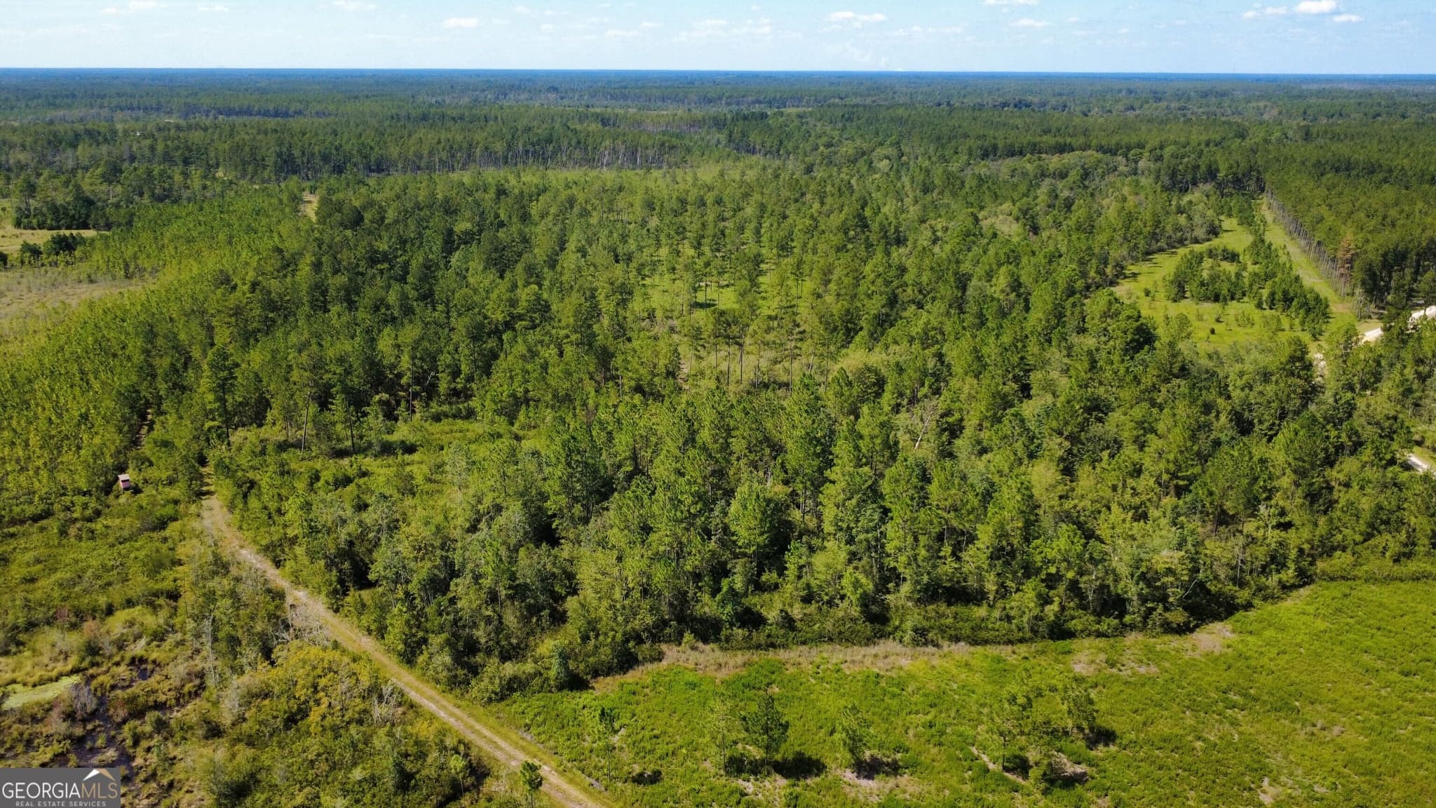 agriculture for sale at 0 Chickadee Road, Millwood, GA 31552 — photo 5