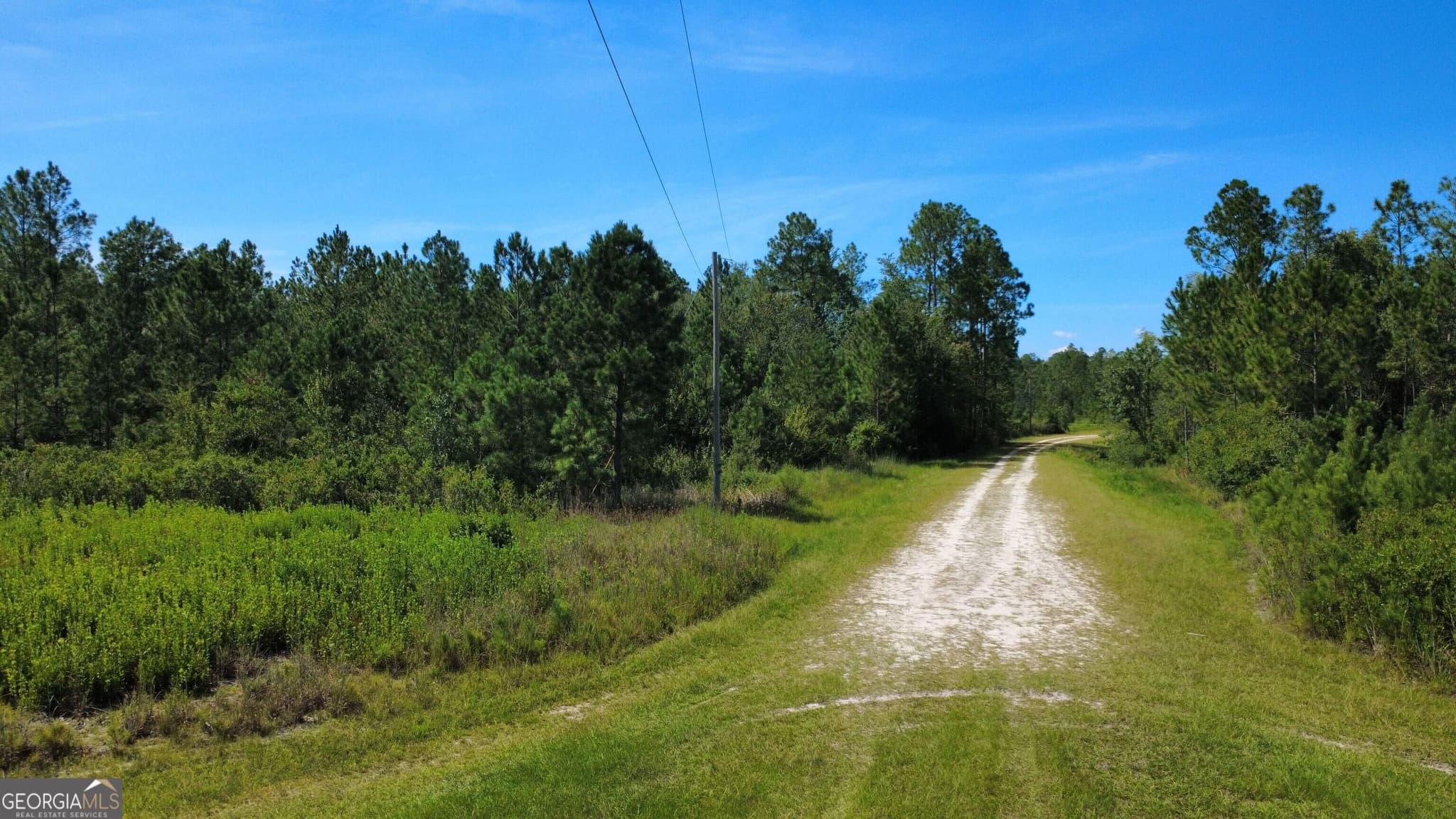 agriculture for sale at 0 Chickadee Road, Millwood, GA 31552 — photo 9
