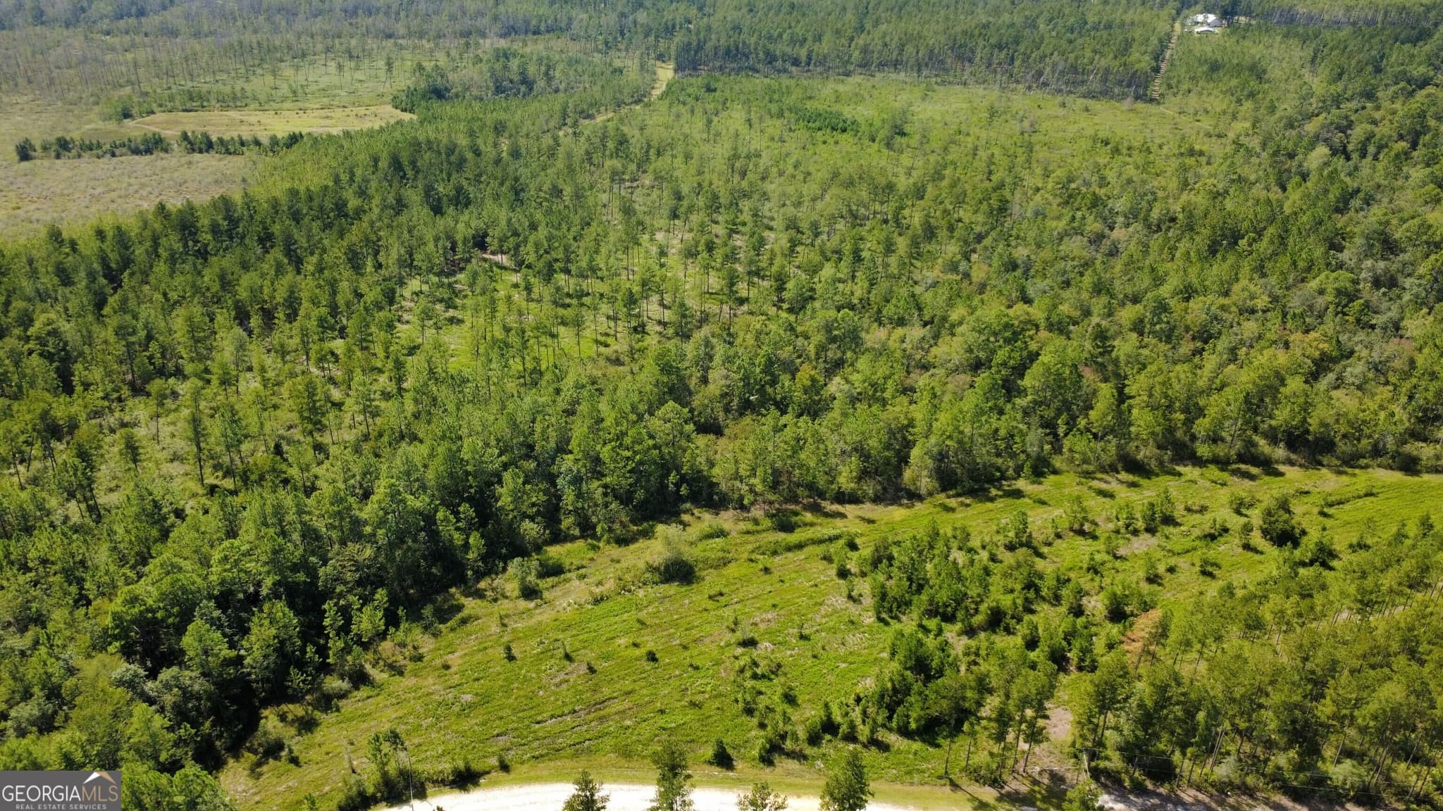 agriculture for sale at 0 Chickadee Road, Millwood, GA 31552 — photo 4
