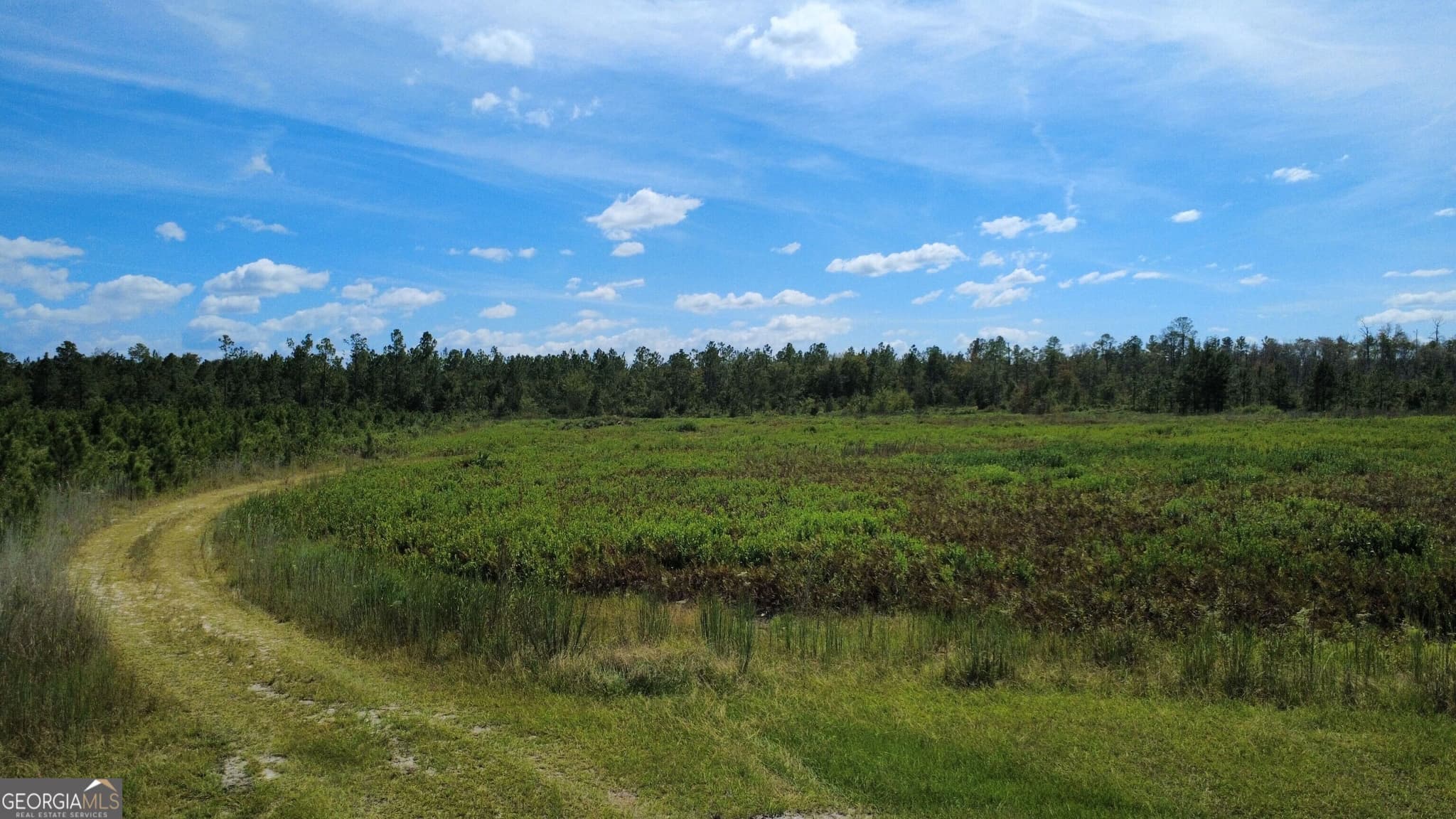 agriculture for sale at 0 Chickadee Road, Millwood, GA 31552 — photo 8