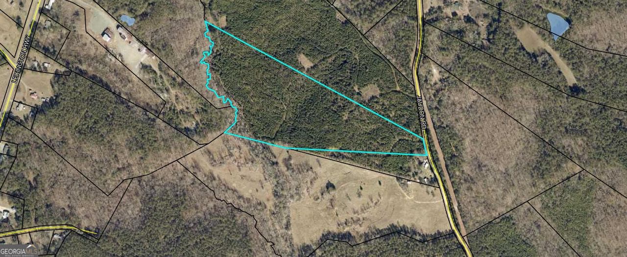 unimproved land for sale at 0 Jaudon Road (22.19 ACRE LOT), Elberton, GA 30635 — photo 6