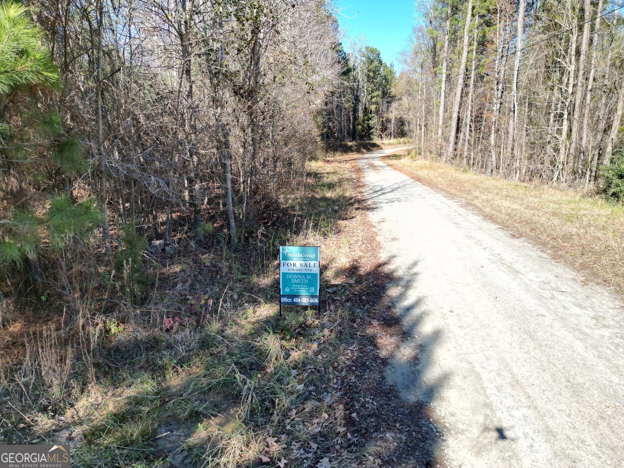 unimproved land for sale at 0 Jaudon Road (22.19 ACRE LOT), Elberton, GA 30635 — photo 1 of 6
