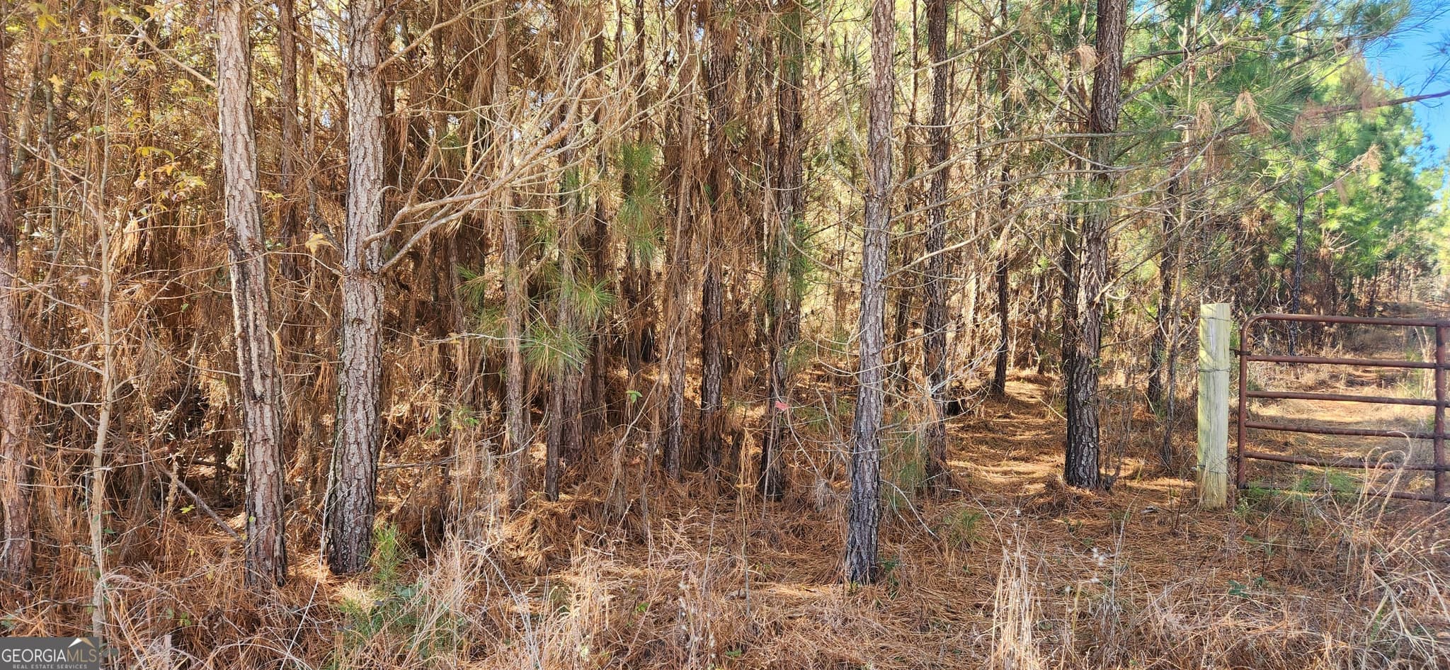 unimproved land for sale at 0 Jaudon Road (22.19 ACRE LOT), Elberton, GA 30635 — photo 5