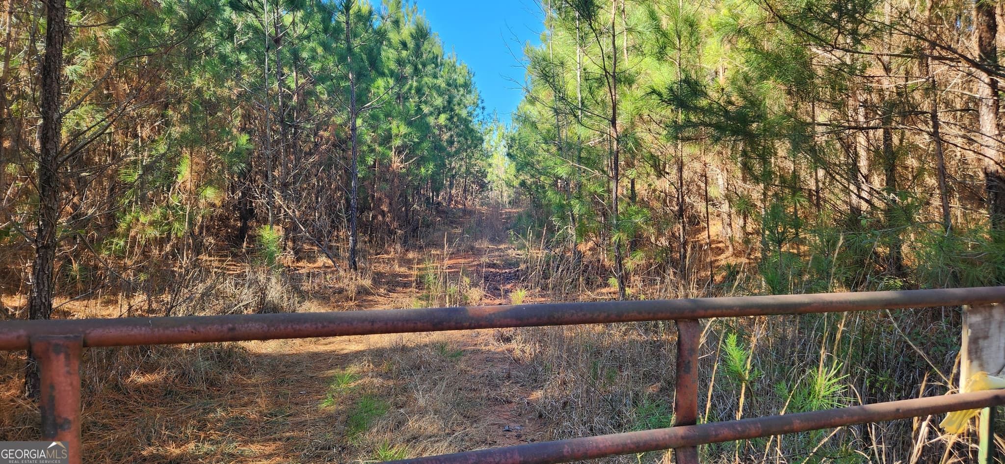 unimproved land for sale at 0 Jaudon Road (22.19 ACRE LOT), Elberton, GA 30635 — photo 4