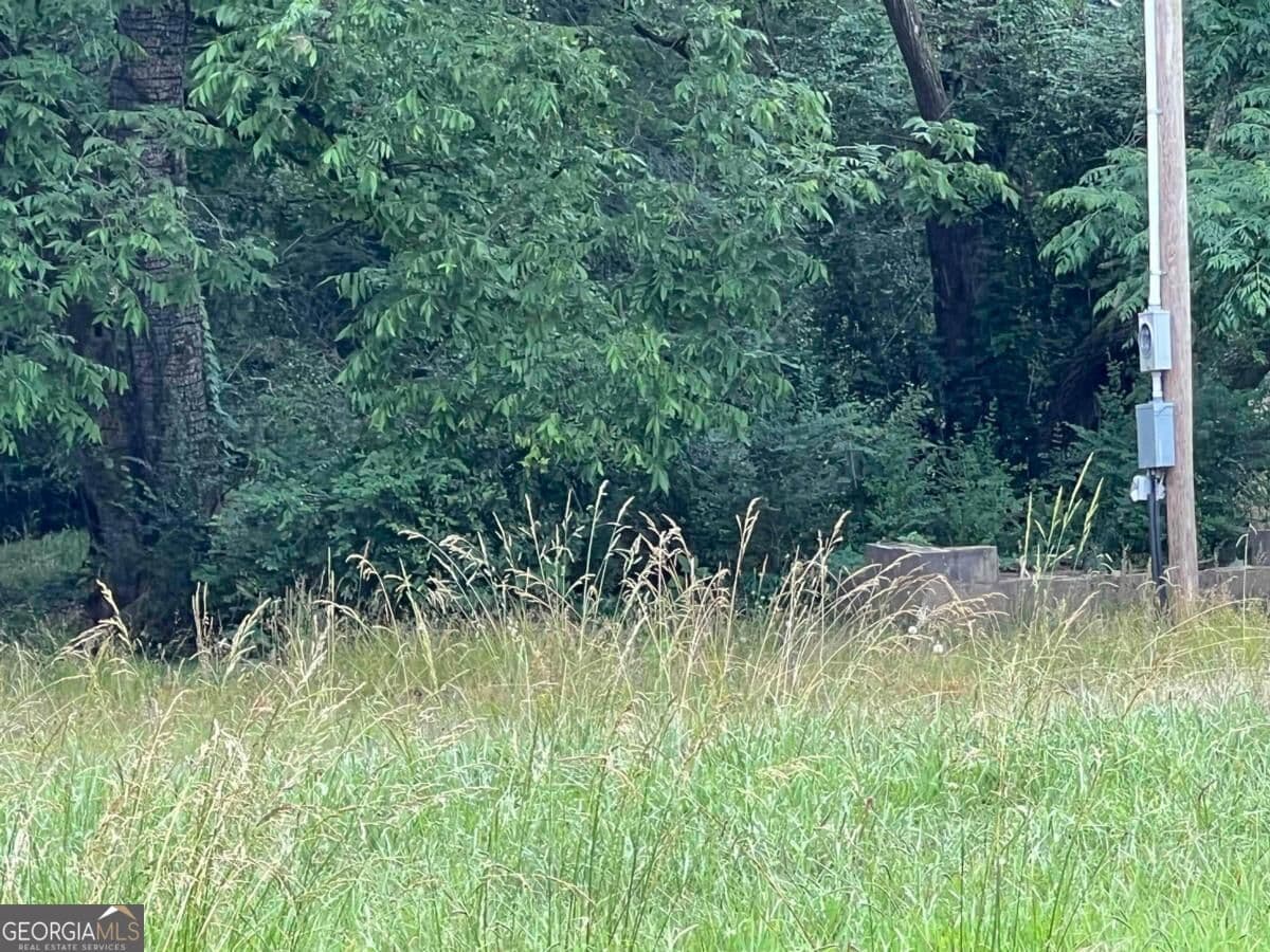 residential lot for sale at 4550 Lower Apalachee Road, Madison, GA 30650 — photo 3